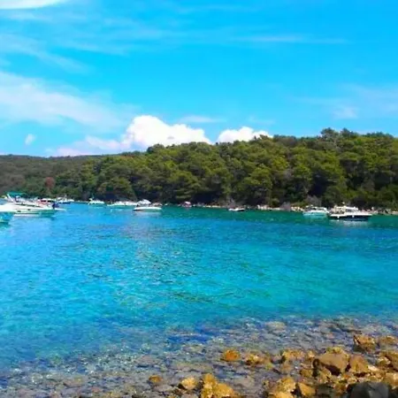 House Forest&beach Relax