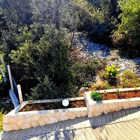 House Forest&beach Relax Appartamento