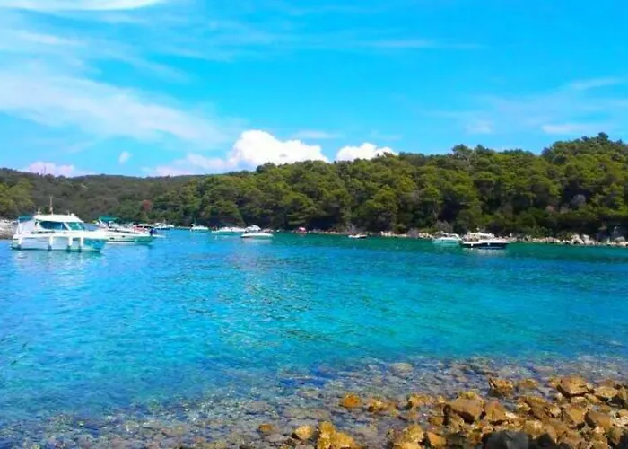 House Forest&beach Relax