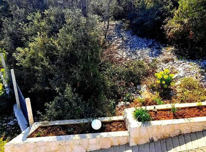 House Forest&beach Relax Apartament