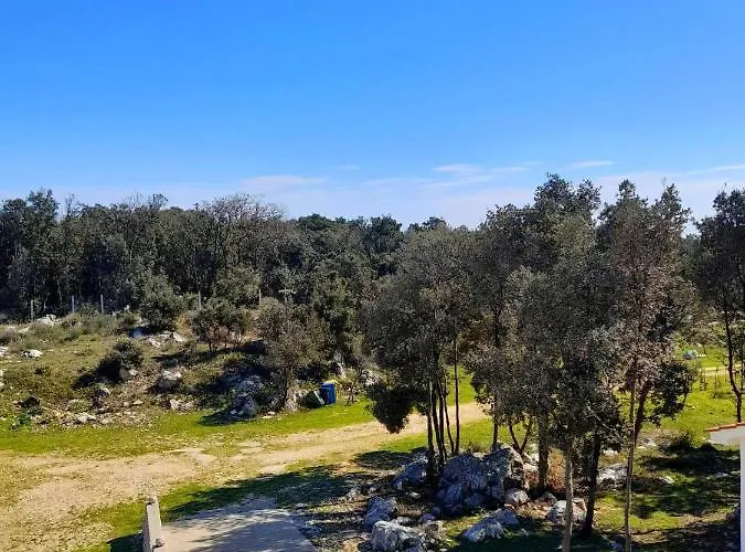 House Forest&beach Relax